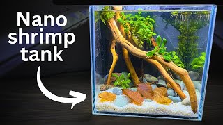 Easy Nano Shrimp tank Stepbystep tutorial for beginners [upl. by Peddada]