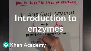 Introduction to enzymes and catalysis  Chemical Processes  MCAT  Khan Academy [upl. by Nalla]