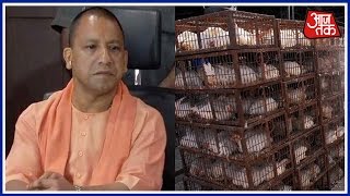 Poultry Farm Owners Meet CM Yogi For The Loss In Their Business [upl. by Ainolopa]