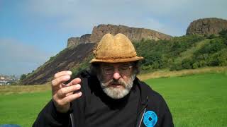 Paul Stamets on fungi as critical allies as we face spreading ecosystems collapse amp extinctions [upl. by Hameean]