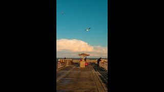 Jax Beach Pier Walk 🚶 [upl. by Eicnarf]