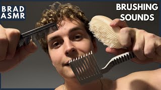 ASMR Only Brushing Sounds [upl. by Oeflein214]