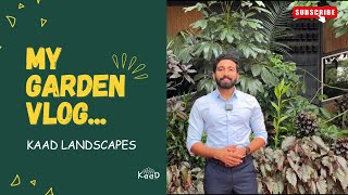 MY GARDEN VLOG  കാടായി മാറിയ ഓഫീസ്  INDOOR AND OUTDOOR PLANTS  MALAYALAM [upl. by Mharg]