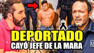 DIOS MÍO CAYÓ EL MISMO DIABLO DEPORTADO DE MÉXICO BUKELE DEMANDA CÁRCEL POR SIEMPRE😱 [upl. by Ellasal152]