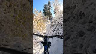 Mountain Biking through fresh snow in Tahoelaketahoe mountainbiking mountains [upl. by Aldora537]