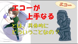 「エコーが上手になる」ってどういうこと？？【雑談】 [upl. by Thinia]