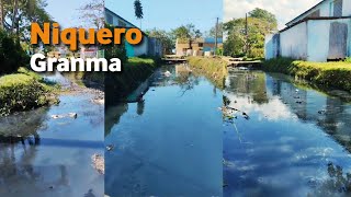 Así permanecen las ZANJAS de aguas RESIDUALES en el municipio Niquero Granma [upl. by Ikram]