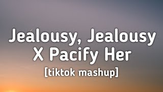 Jealousy Jealousy X Pacify Her tiktok mashup Lyrics [upl. by Mel]