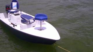 14ft Bay boat with 25hp mercury [upl. by Enelegna133]