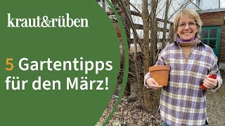 Gartenkalender 5 Tipps für den März [upl. by Orion]