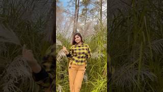 Catkin in China🇨🇳 shorts catkin flowers beautiful china travel youtubeshorts viralvideo [upl. by Eednar878]