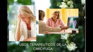 La Cimicifuga Usos Terapeuticos [upl. by Akimyt]