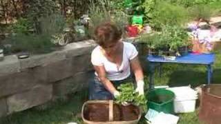 Container Gardening Container Herb Garden [upl. by Ynahpets]