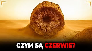 Czym są CZERWIE Wielkie Robaki z Arrakis  DIUNA [upl. by Demetria]