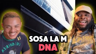 SOSA LA M  DNA  TEAM7  Reagiert [upl. by Ludwigg927]