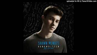 Shawn Mendes  Stitches B95 [upl. by Georgette]