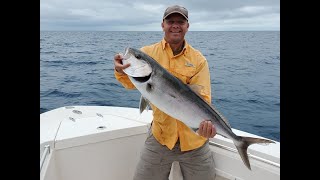 Eating Fish with Worms  Catch Clean Cook Amberjack  Oct 2020 [upl. by Anirbus962]