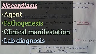 Nocardiasis  Agents  Pathogenesis  Clinical manifestation  Lab diagnosis [upl. by Acirretal637]