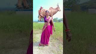 Eena meena teeka kareli khesari laltrending bhojpuri youtube sorts video dance [upl. by Nreval]