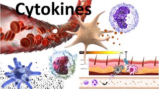 Cytokines  Structure sub families signaling mechanism and biomedical use [upl. by Nyssa]