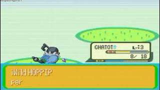 Pokemon Naranja Walkthrough Part 2 Chatot [upl. by Sherris668]