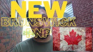 NEW BRUNSWICK PROVINCIAL NOMINEE PROGRAM NBPNPApplication Guide Step by Step English Video [upl. by Ahsilram376]