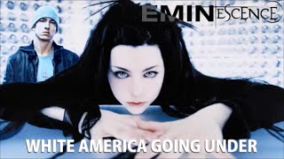 Eminem  Evanescence MASHUP Eminescence  quotGoing Under White Americaquot [upl. by Emmye578]