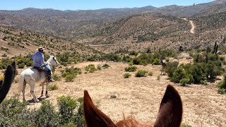 Rodeo de burros  La Cortadera Canela 2024 [upl. by Daphne]