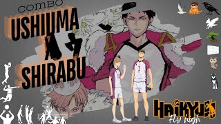 Review Combo Ushijima x Shirabu  Raja amp Pangeran Shiratorizawa  Haikyuu fly high [upl. by Witt192]