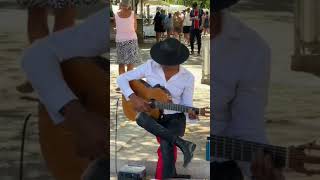 Live Guitar In the Street 02 [upl. by Mckale]