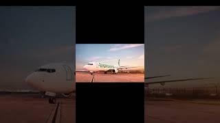 transavia edit aviation transavia edit poop capcut [upl. by Ahtelra]