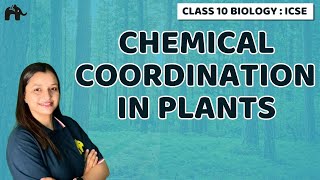 Chemical Coordination in Plants  Chapter 7 Class 10 ICSE Biology  Selina [upl. by Douglas]