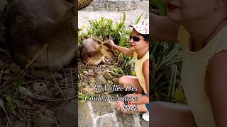 Chamarel Seven Coloured Earth shortsfeed travel shortsvideo mauritius [upl. by Ettennaj]