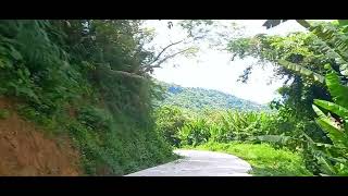 KALANSANGAN MACUTAL  ROAD OPENING  MACUTAL BARAS 2024  MRCHANO TV [upl. by Matheny]