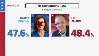 New Polls in Race for NY Governor [upl. by Aileno]