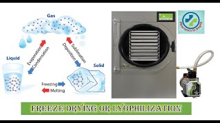 Freeze drying or Lyophilization in depth [upl. by Trebled996]