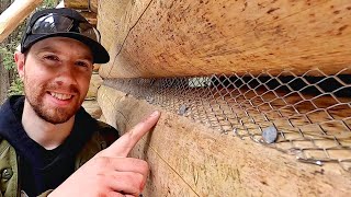 Secret to MaintenanceFree Mortar Chinking  Ep65  Outsider Log Cabin [upl. by Atinet]