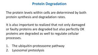 Protein Degradation [upl. by Aisercal]