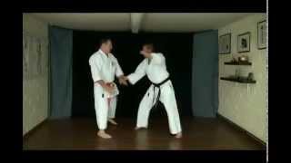 Hubert Laenen Bunkai Heian Shodan [upl. by Ecydnarb]