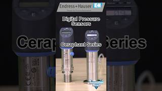 Revolutionize Your Process With Endress Hauser Digital Pressure Sensors At AutomationDirect [upl. by Benis]