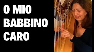 Puccini  O Mio Babbino Caro  Harp [upl. by Malas]