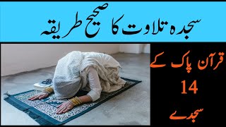 Sajda E Tilawat Ka Sunnat Tariqa  Quran Pak Ke Sajde Kaise Karin  Talawat Sajda Ka Tarika [upl. by Lerej]