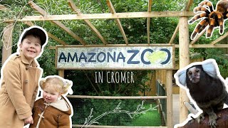 Amazona Zoo Vlog  Cromer  Norfolk [upl. by Theodor]