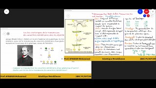 4Génétique mendélienne Introduction  Définitions 2BAC SVTPCSM [upl. by Obmar838]