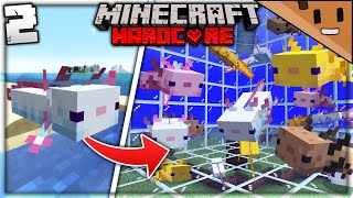 I Made a GIANT Axolotl Farm in Minecraft Hardcore 2 [upl. by Cull871]