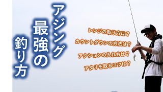 誰でも簡単に釣れる！２万匹以上釣ったアジングの釣り方！ [upl. by Garber581]