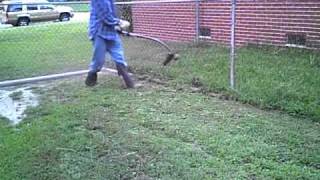 Craftsman 27cc weedeater in Action [upl. by Sanson273]