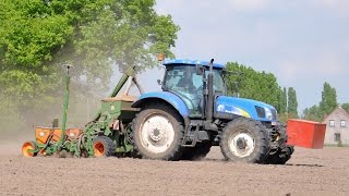 New Holland T6030 amp Amazone ED 602K  Geert Bauwens  mais zaaien [upl. by Butte]