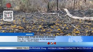 Parque Henri Pittier está en riesgo de incendio – El Noticiero emisión meridiana 31 de enero [upl. by Dahsra]