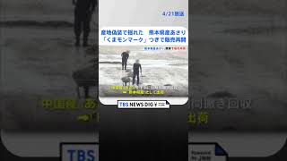 産地偽装で揺れた「熊本県産あさり」 1年2か月ぶりに関東で販売再開 くまモンがPR｜TBS NEWS DIG shorts [upl. by Tikna467]